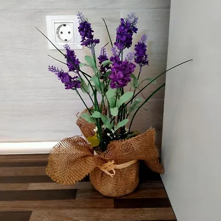 Fuerte Relax Apartment *